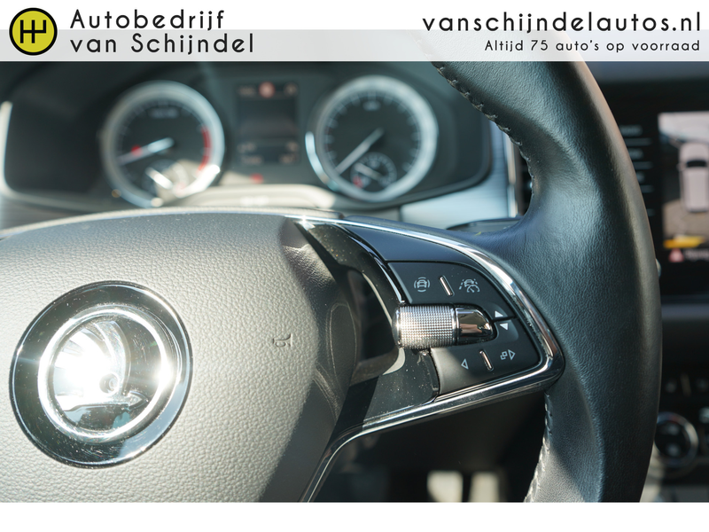 Skoda Kodiaq 1.5 TSI BUSINESS EDITION ORIGINEEL NL KEURIGE NETT — photo 28