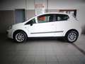 Fiat Punto Evo Білий - thumbnail 3