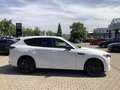 Mazda CX-60 3.3L e-SKYACTIV D 254 AWD Homura Plus Weiß - thumbnail 24