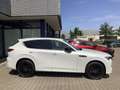 Mazda CX-60 3.3L e-SKYACTIV D 254 AWD Homura Plus Weiß - thumbnail 2