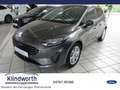 Ford Fiesta 1.0 EcoBoost Titanium X Navi,iACC,Kamera Grau - thumbnail 1