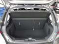 Ford Fiesta 1.0 EcoBoost Titanium X Navi,iACC,Kamera Grau - thumbnail 8