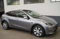 Tesla Model Y Long Range AWD *AHK*Matrix-LED* Zilver - thumbnail 18