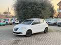 Lancia Ypsilon 1.2 8v Gold 69cv Bianco - thumbnail 3