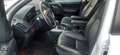 Land Rover Freelander Freelander 2.2 sd4 SE 4wd 190cv auto Білий - thumbnail 15