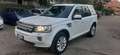 Land Rover Freelander Freelander 2.2 sd4 SE 4wd 190cv auto Alb - thumbnail 1