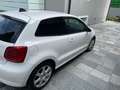 Volkswagen Polo Polo V 2009 3p 1.2 tdi Comfortline Bianco - thumbnail 3