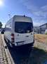 Mercedes-Benz Sprinter 316 CDI (BlueTec) 906.733 - thumbnail 3