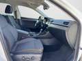 Skoda Superb Combi Style 2.0 TDI DSG LED NAVI AHK RFK Blanc - thumbnail 4