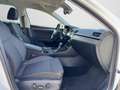 Skoda Superb Combi Style 2.0 TDI DSG LED NAVI AHK RFK Weiß - thumbnail 4