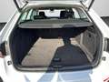 Skoda Superb Combi Style 2.0 TDI DSG LED NAVI AHK RFK Weiß - thumbnail 15