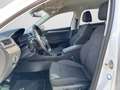 Skoda Superb Combi Style 2.0 TDI DSG LED NAVI AHK RFK Weiß - thumbnail 12
