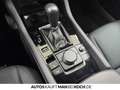 Mazda 3 2,5l 140ps AT MHEV Homura LED NAVI R-KAM ACC PDC Grau - thumbnail 31