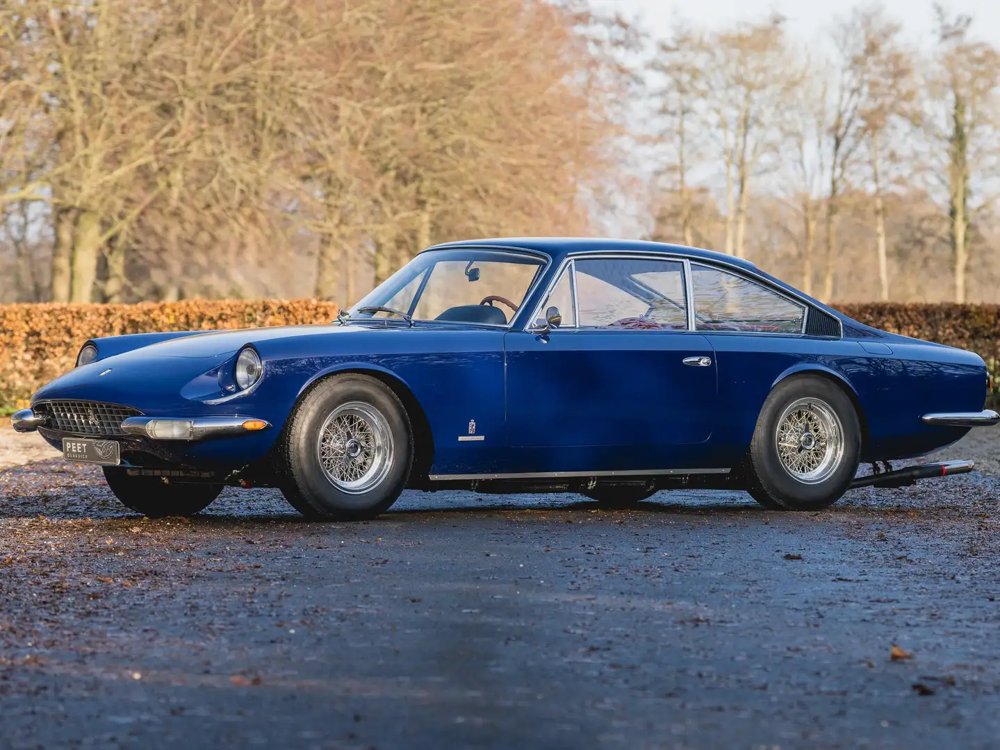 Ferrari 365 GT 2+2 Blau - 1