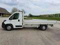 Peugeot Boxer Cabinato 435 L4 2.0 Bluehdi 130cv CASSONE FISSO Bianco - thumbnail 6