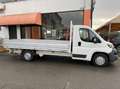 Peugeot Boxer Cabinato 435 L4 2.0 Bluehdi 130cv CASSONE FISSO Wit - thumbnail 9
