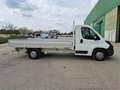 Peugeot Boxer Cabinato 435 L4 2.0 Bluehdi 130cv CASSONE FISSO Bianco - thumbnail 4