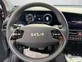 Kia Niro EV Inspiration Beyond30 WP DW TEC REX Grijs - thumbnail 11