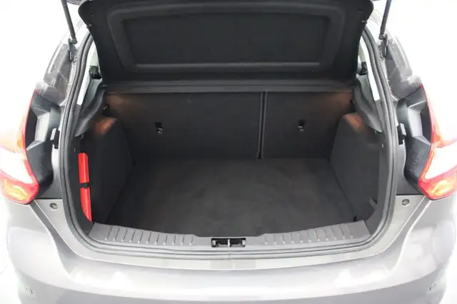 Ford Focus view 11
