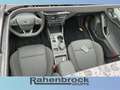 Ford Focus ST-Line X Turner EcoBoost MHEV-AUTOMATIK Grau - thumbnail 14