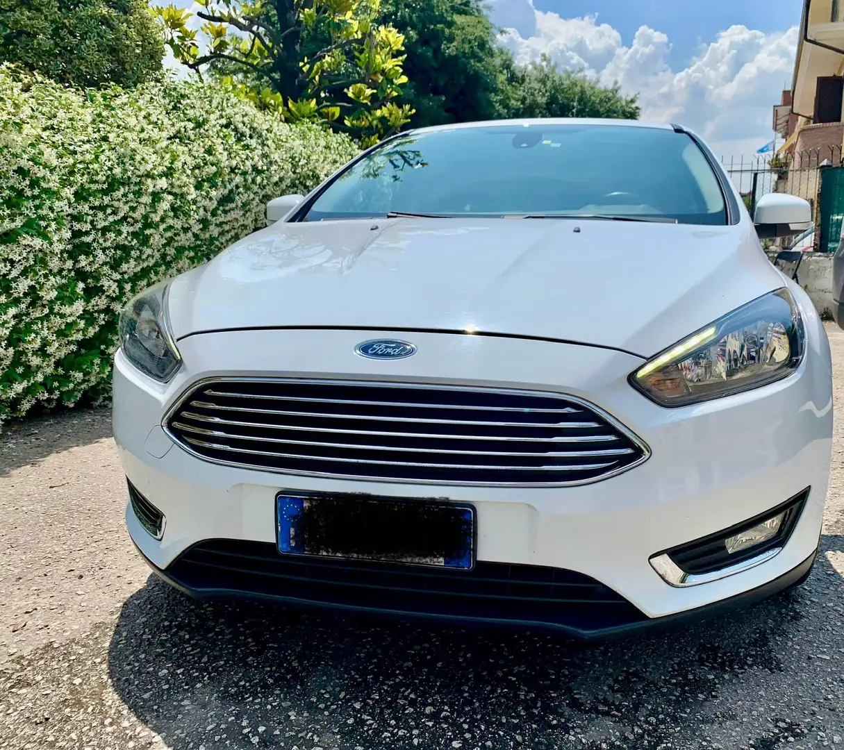 Ford Focus 5p 1.5 tdci Titanium s&s 120cv - 1
