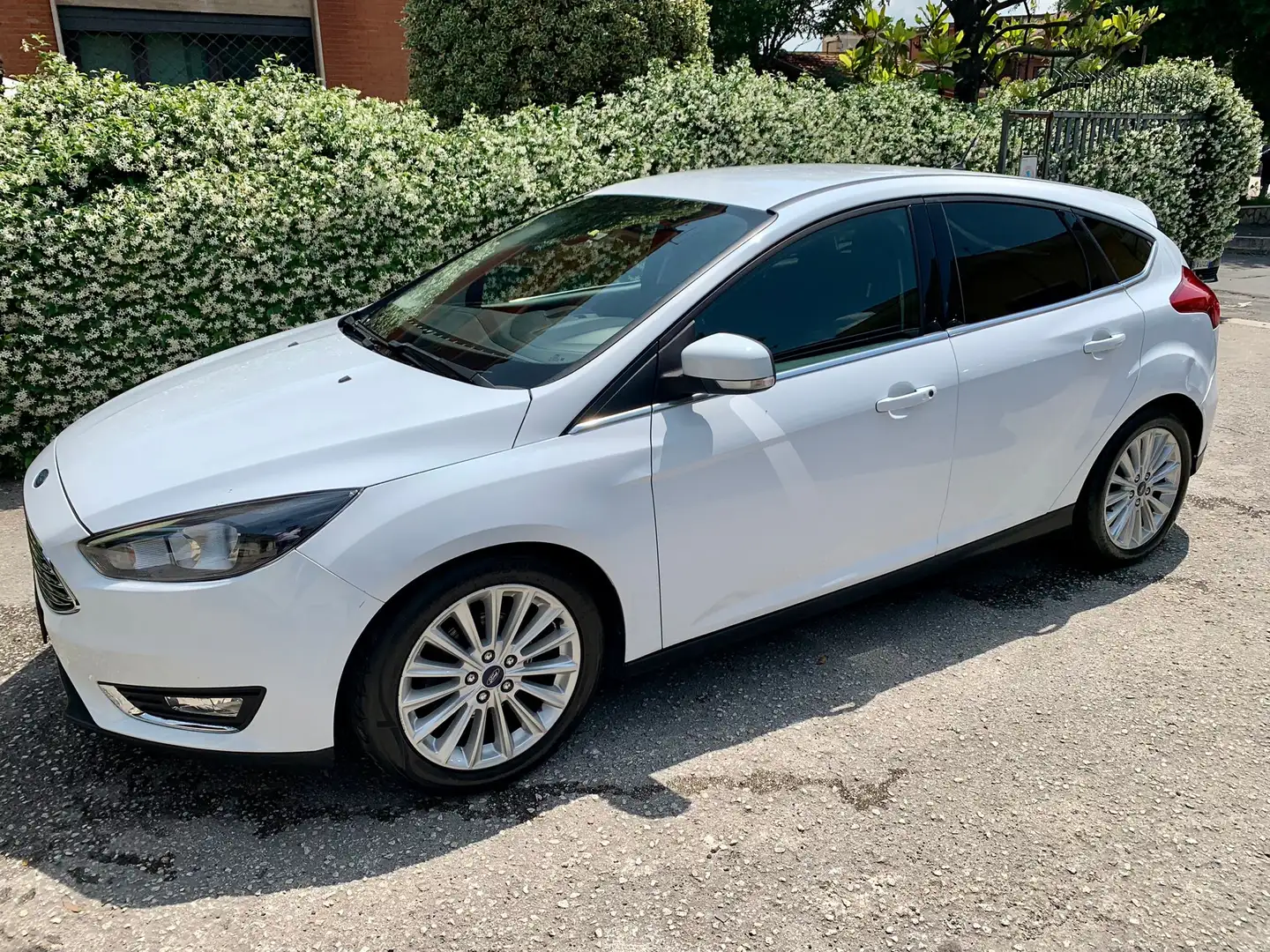 Ford Focus 5p 1.5 tdci Titanium s&s 120cv - 2