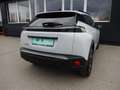 Peugeot 2008 1,2 PureTech 100 S&S Allure 6-Gang-Manuell Weiß - thumbnail 6