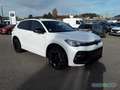 Volkswagen Tiguan 2.0 TDI DSG R-Line BLACK NAVI IQ.LIGHT Weiß - thumbnail 5