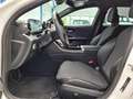 Mercedes-Benz C 300 T de 4Matic Avantgarde | Ambiente | MBUX Blanc - thumbnail 12