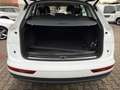 Audi Q5 2.0 TDI quattro s-tronic-NAVI-XEN-20Z-AUDI KD Weiß - thumbnail 6