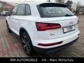 Audi Q5 2.0 TDI quattro s-tronic-NAVI-XEN-20Z-AUDI KD Weiß - thumbnail 3