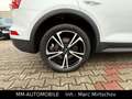 Audi Q5 2.0 TDI quattro s-tronic-NAVI-XEN-20Z-AUDI KD Weiß - thumbnail 5