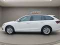 Skoda Octavia Combi Selection TDI DSG Weiß - thumbnail 8
