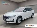 Skoda Octavia Combi Selection TDI DSG Weiß - thumbnail 1