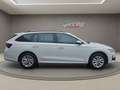Skoda Octavia Combi Selection TDI DSG Weiß - thumbnail 4