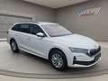 Skoda Octavia Combi Selection TDI DSG Weiß - thumbnail 3