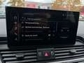 Audi Q5 40 TDI quattro S line PANO*HUD*360°*SIDE*AHK Grau - thumbnail 14