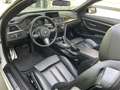 BMW 435 d xDrive M Paket/Kamera/HUD Blanc - thumbnail 11