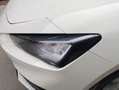 SEAT Leon 2.0TDI S&S Style 115 Blanco - thumbnail 24