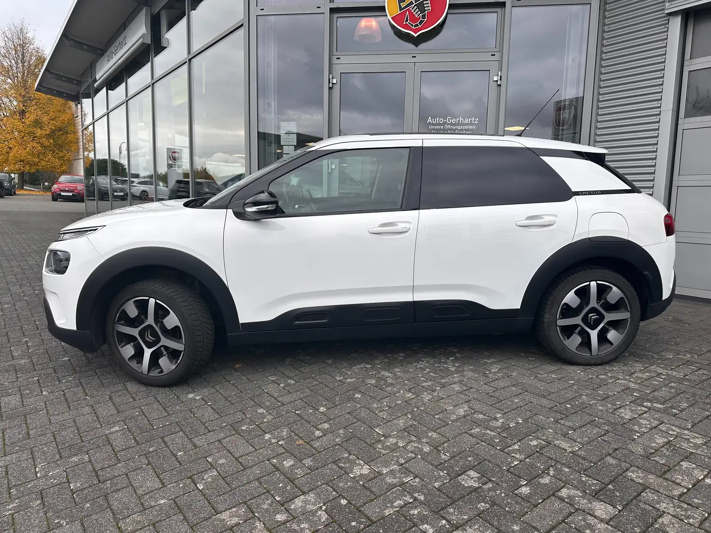 Citroen C4 Cactus Feel Weiß - 2