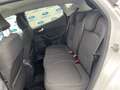 Ford Fiesta 1.0 Ecoboost Hybrid 125 CV 5 porte Titanium Blanc - thumbnail 9