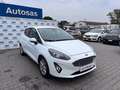 Ford Fiesta 1.0 Ecoboost Hybrid 125 CV 5 porte Titanium Blanc - thumbnail 10