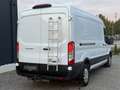 Ford Transit 350 L3H2 Trend AHK Weiß - thumbnail 4