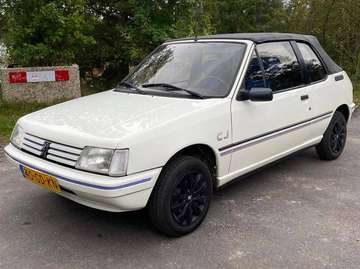 1.1i CJ