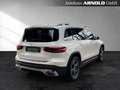 Mercedes-Benz GLB 250 GLB 250 4M AMG Line AHK Kamera LED Memory Sitzh. Weiß - thumbnail 5