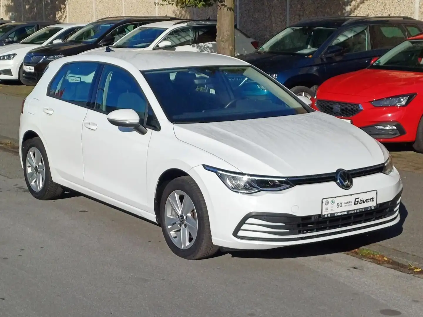 Volkswagen Golf VIII 1.0 TSI Life 81 kW Klima Navi AHK LED Weiß - 1