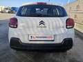 Citroen C3 BlueHDi 100 S&S Van Feel Bianco - thumbnail 4