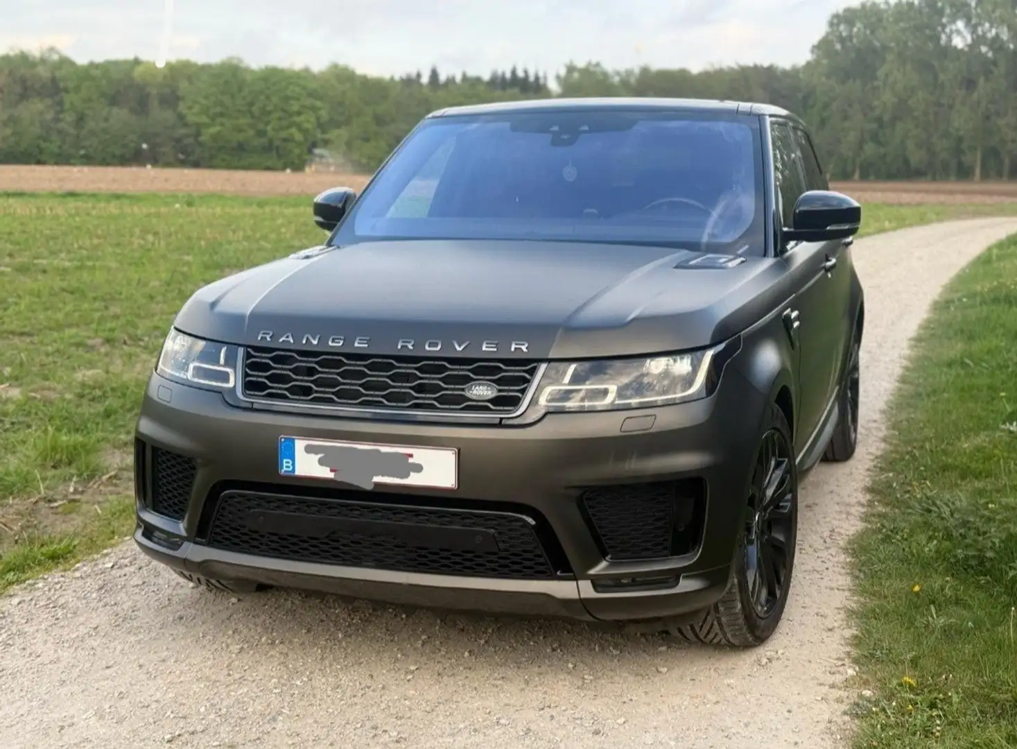 Land Rover Range Rover Sport (SDV6) Autobiography Dynamic 7 PL Gris - 1
