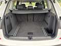 BMW X3 xDrive 20d Weiß - thumbnail 13