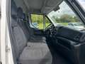 Iveco Daily Kasten HKa 35 S ... V Radstand 3520 L Weiß - thumbnail 17